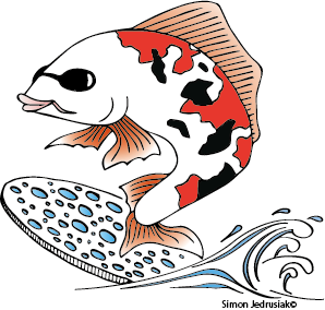 Mutag BioChip 30â„¢ surface area >5,500 m2/m3 1 litre image 1